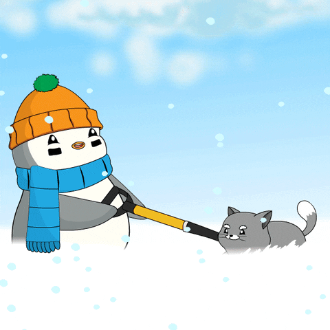 Tug Of War Cat GIF by Pudgy Penguins