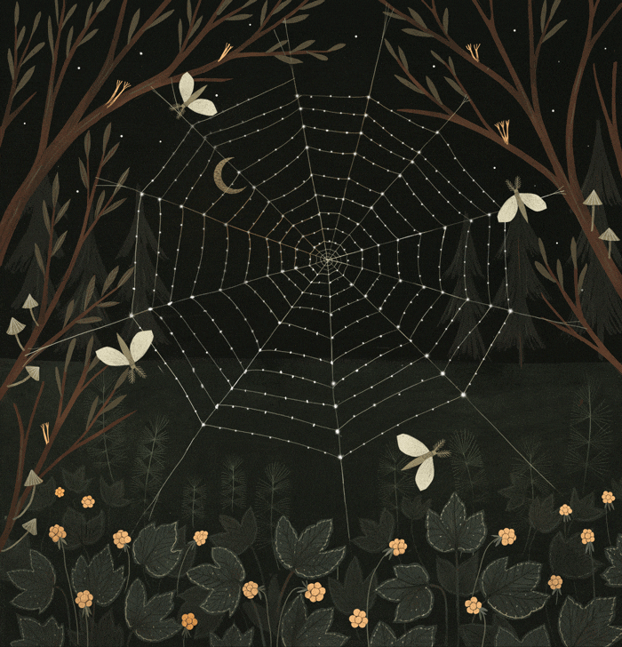 Spider Web Night GIF by Alexandra Dvornikova - Find & Share on GIPHY