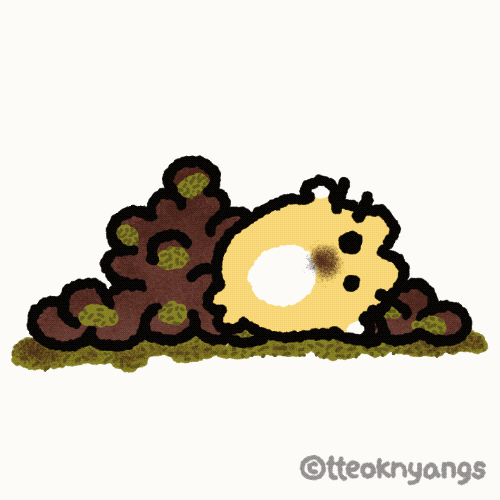Tteoknyangs GIF