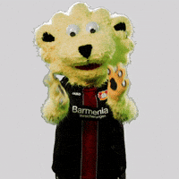 GIF by Bayer 04 Leverkusen
