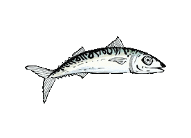 Fish Swimming Sticker by Eau large