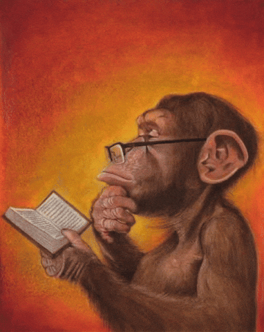 Monkey Wisdom GIF