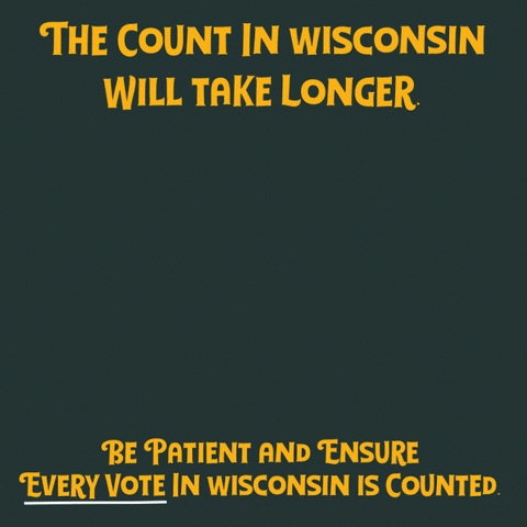 Election Day Wisconsin GIF by Creative Courage