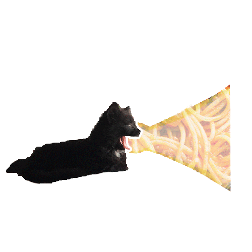 Kitten Spaghetti Sticker by Jess