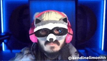 Racoon Rakun GIF