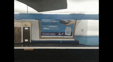200.gif?cid=fc005b08ca63305da4fa5cfddc55681c24a286c6d377d64f&rid=200.gif&ct=g