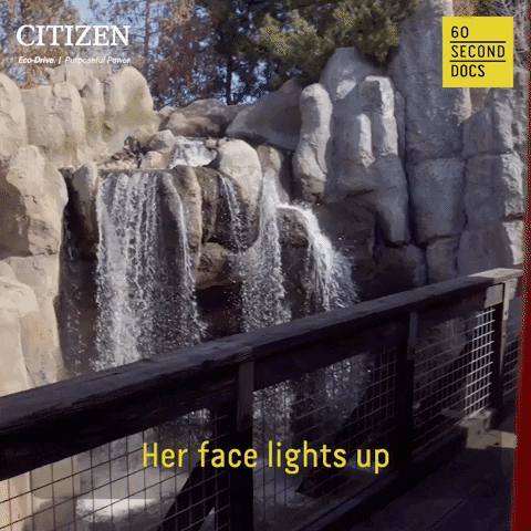 Citizen Watch Disney GIF by 60 Second Docs