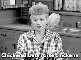 Excited I Love Lucy GIF by Paramount+