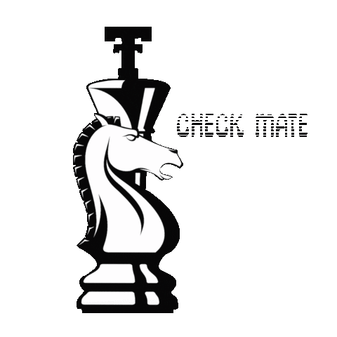 TTU DDEI Sticker