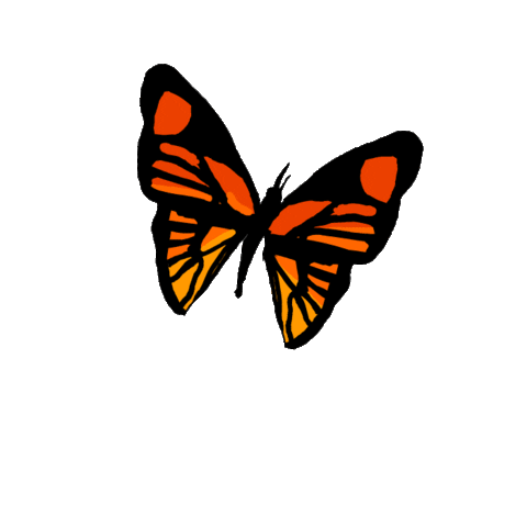 Animation Fun Sticker