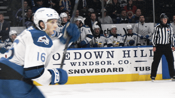 Hockey Ahl GIF by Colorado Eagles
