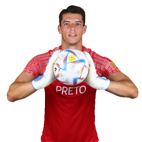 MŠK Žilina Sticker