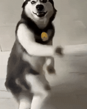 Dog Laugh GIF