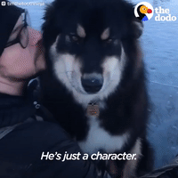 200.gif?cid=fc005b08c6a3b764680f490e66fbb9658660290e1c62d989&rid=200.gif&ct=g