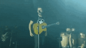 melis  GIF