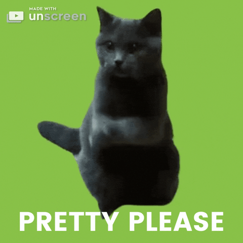 Begging Please Please GIF by Unscreen