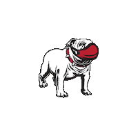 Uga Stay Strong Sticker by University of Georgia
