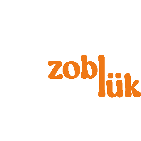 prleskistudenti Sticker