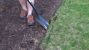 Silver Cymbal Via Youtube GIF