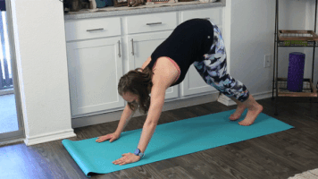 rebeccasuehicks  GIF