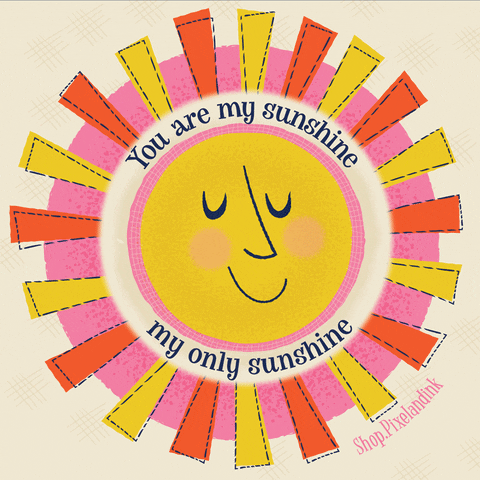 You Are My Sunshine Louisiana GIF by Pixel and Ink Creative