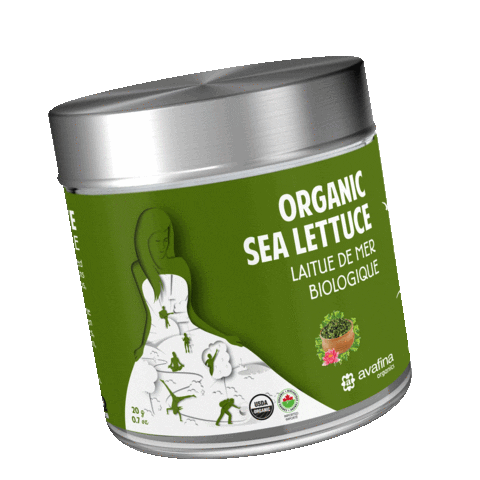Sea Lettuce Sticker by Avafina Organics