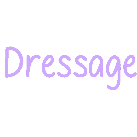 Horse Dressage Sticker