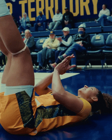 Cal GIF by CALWBB