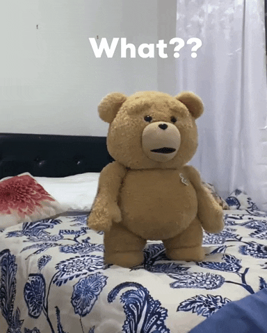 Teddy Bear What GIF by BeautifulDiz