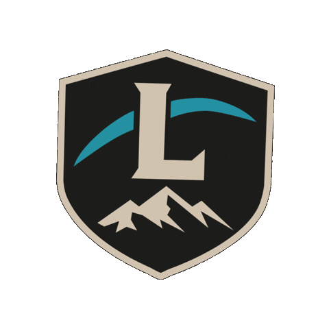 Lappi Security Sticker