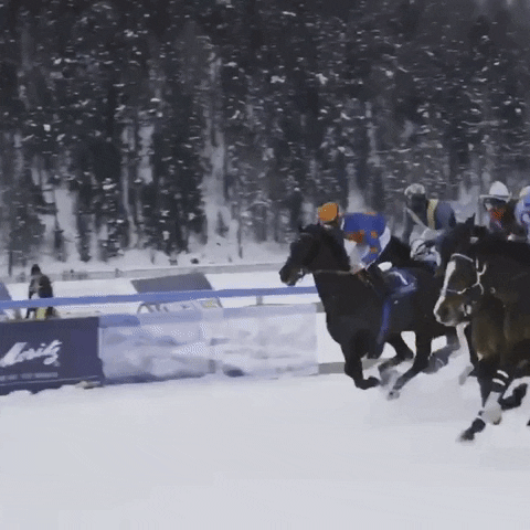 Sport Snow GIF by World Horse Racing