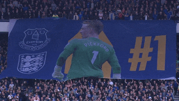 Jordan Pickford Utt GIF by Everton Football Club