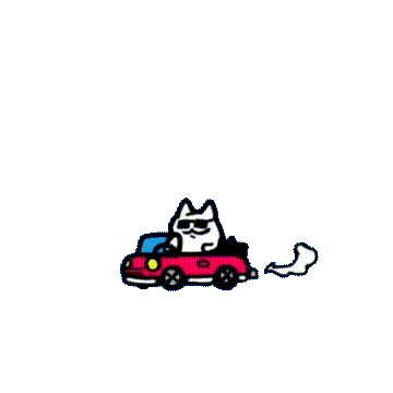 Cat 猫 Sticker