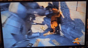 Animated GIF