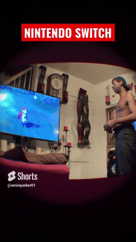 Nintendo GIF