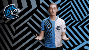 Zebras What GIF by BS+COMPETITION