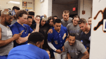 Durham Bulls GIF