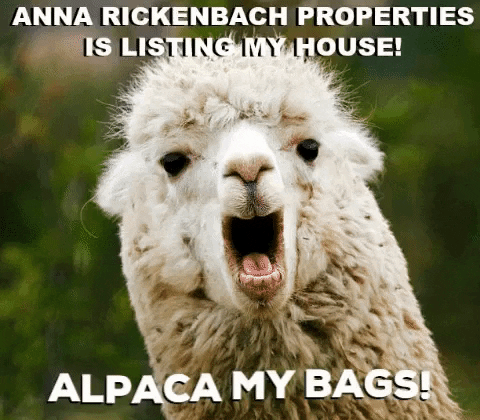 Plush Alpaca Backpack – PickyPaca