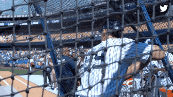 New York Baseball GIF by Twitter