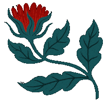 Illustration Flowers Sticker by Aurage