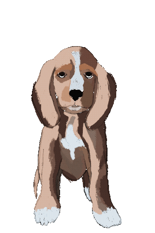 Dog Sticker
