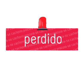 Andrea Procura Sticker by Casa Das Capas