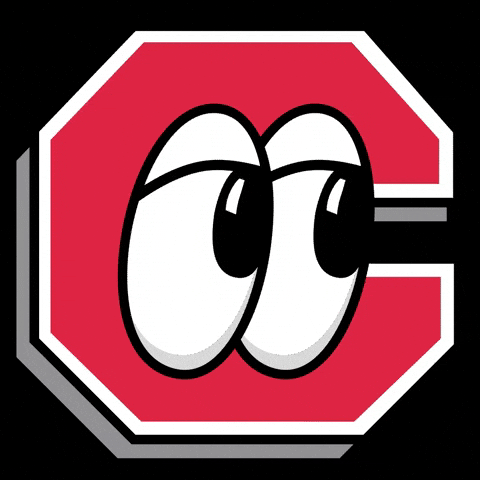 GIF by Chattanooga Lookouts