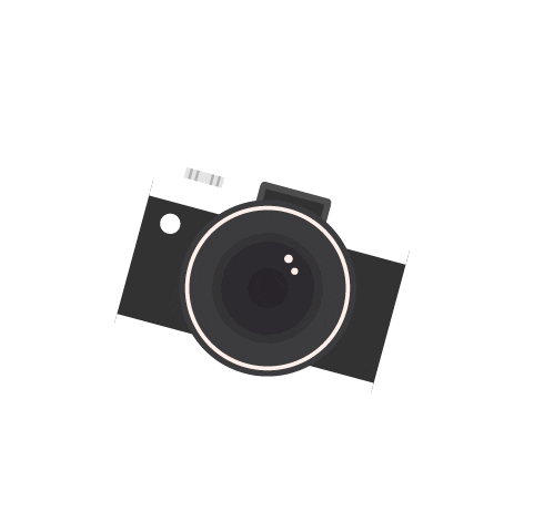 Vicia Estudio Sticker