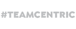 Centric Entertainment Sticker