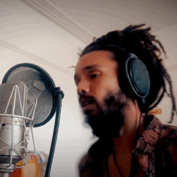Amplified Records GIF
