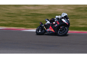 Paddy Prd GIF by Paddys-Races-Days