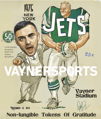 New York Jets Vision GIF