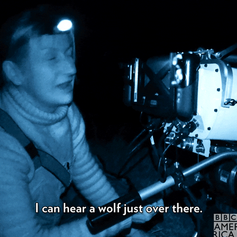 Behind The Scenes Wolf GIF by BBC America