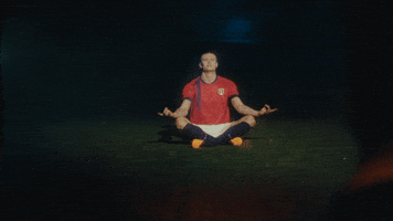Bud Composure GIF by Budweiser